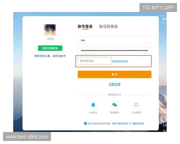 尊龙集团登录入口官网：确保账号安全的登录流程与注意事项